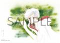 「夏目友人帳」の原点、「愛蔵版 蛍火の杜へ」がブッ