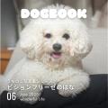 かわいい愛犬のフォトブックが本として残せる「うちの