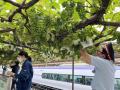 【日本でここだけ！】日本で唯一！駅ホームのぶutf-8