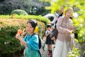 千葉県松戸市 科学、芸術、自然をつなぐ国際フェステ