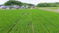 地域に“飛び立つ”新たな挑戦を～宮崎県新富町地域おこ