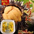 あの懐かしい味も！岩手県山田町、６月に掲載開始した