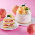 YATSUDOKI「完熟桃スイーツ」、全国のYATSUDOKIutf-8