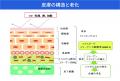 肌のシワ・たるみに関する共同研究を開始