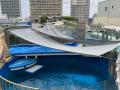 『サンシャイン水族館の熱中症対策2025』
