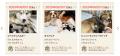 累計成約数40万件突破！ リリース15年で築いた信頼　