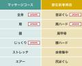 「RELAX MASTER　マッサージチェア E25　AS-R630」202