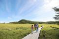 「高山植物の宝庫」池の平湿原がベストシーズンへ　休