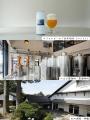＼お酒好きのみなさまへおトクな情報！／メルマガに登