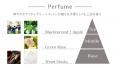 【LADOR】小学館『 美的 』にて「 美容賢者が選ぶ2025