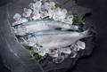 「漁師さんが選ぶ本当においしい魚を使った簡単お魚料