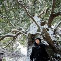 福山雅治、“被爆クスノキ”を題材にした楽曲「クスノキ