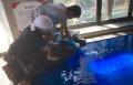 夏休みの職業体験！海老名・浜松市の小学生が熱波師デ