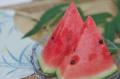 8月16日(土)、17日(日)開催　食べて、見て、体験でき