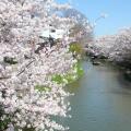 滋賀県近江八幡市とABCクッキングスタジオが連携協定