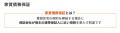 Wellon Solutions、外国人の賃貸住宅契約をサポートし
