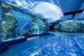 【初企画／能登の未来へ甘いエールを】のとじま水族館
