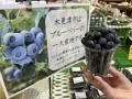 【道の駅木更津うまくたの里】土日・祝日開催のutf-8