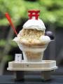 縁起物専門店が「涼」と「癒し」をお届け！【夏季限定