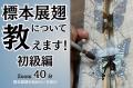 「むし展～かわひらこ～」開催に向けたクラウドファン