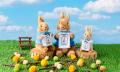 PETER RABBIT(TM)SHOP&BAKES 軽井沢店が7月14日(月)オ