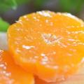 【夏のたび福袋】冷凍みかん・うな重など夏グルメをお