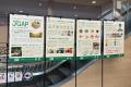 あの農産物も実はJGAP!?買い物の合間に学べる店頭イベ