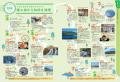【地球の歩き方】旅するように森を歩こう。大阪・関西