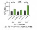 自然由来成分ククイナッツオイルのまつ毛育毛メカニズ