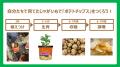 「カルビーポテトチップス」は今年で発売50周年 カル