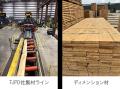 米大手製材工場をグループ化　海外初木材コンビナート