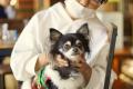 本を読む時間が自信になる、犬と過ごす空間が心をほど