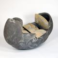 企画展　トキントキンの時代