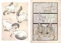 『うぐいす歌子の御ねこ日記』発売記念イラスト展が全