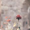 ことばにならない時間が、音になる--Classy Moon『Sti