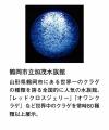 総いいね数22万超え「クラゲの傘」に新作登場！加茂水