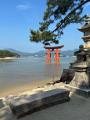 世界文化遺産・日本三景宮島　初のパンケーキ蔵