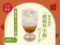 【7月季節限定カレー】Spice and Vegetable 夢民から