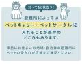【夏は災害の季節─ペットと避難する準備、しませんか