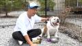 愛犬家のパンサー尾形が大興奮！避暑地・軽井沢にある
