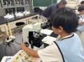 【小学生対象のリアルな海のお仕事体験プログラム】「