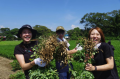 新鮮な落花生を存分に味わい尽くす特別な1日！！~Bocc