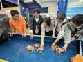 やろまい、竹島水族館と連携した営業向け「たけutf-8