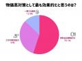 【SES Plus緊急アンケート結果】物価高対策、最も支持
