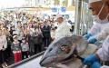 累計250万人来場！日本最大の魚介グルメフェス　SAKAN