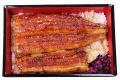 約５０種のうなぎメニューが勢揃い　土用の丑の日　UN