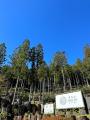 7月7日は川の日　休暇村奥武蔵で、熱中症対策にもなる