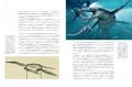 【恐竜時代の海の支配者！】海生爬虫類の起源、生態、