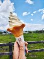 八ヶ岳で花畑気球体験を開催！（7/26土・7/27日）10ヘ