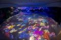 台湾の都市型水族館「Xpark」に、ネイキッドが演出を